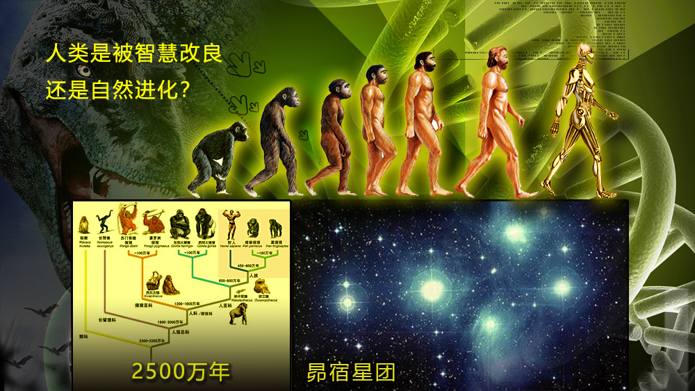 宇宙编年史中,科学流氓为何不爱骚弄人类起源“敏感”区域