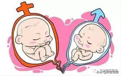 准妈妈快速问答,准妈妈必看备孕知识手册