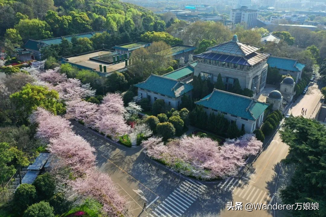 各地高三开学时间最新消息,最新各个省份高三开学时间