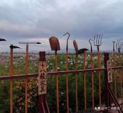 响沙湾景区教师节教师有优惠吗,教师节有什么免费又好玩的景点吗