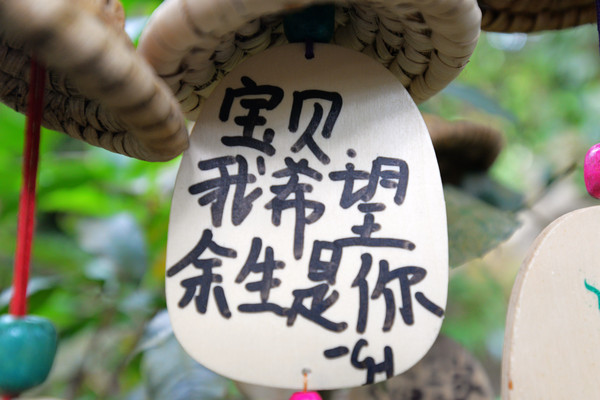 海南呀诺达热带雨林文化旅,三亚诺达雨林旅游攻略