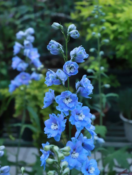 成语100组近义词解析,80个易错的成语