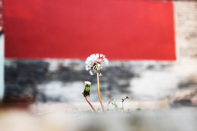 沈阳到海南自由旅游5天攻略路线,沈阳到成都重庆旅游攻略路线图