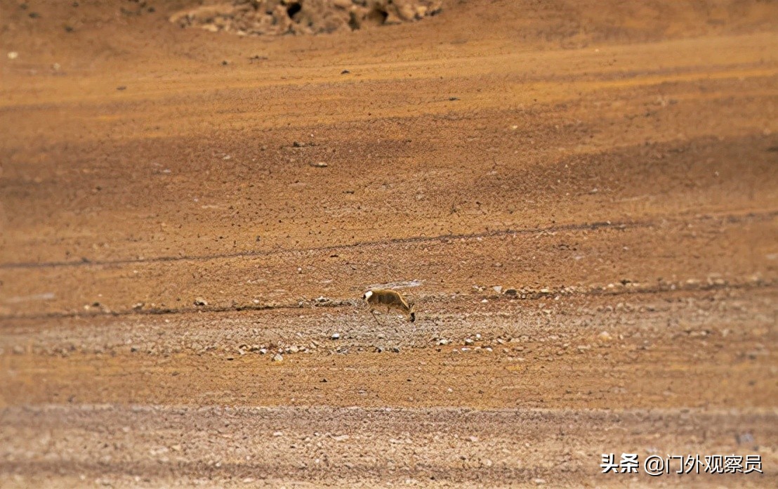 为什么到西藏一定要去阿里,不去拉萨能到那曲吗