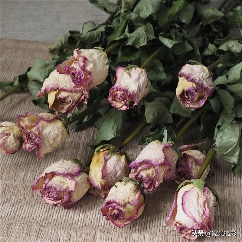 怎么做保持原花色的干花,如何制作干花保持得久