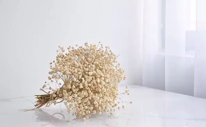 适合做干花的7种花,太阳花切花怎么做干花