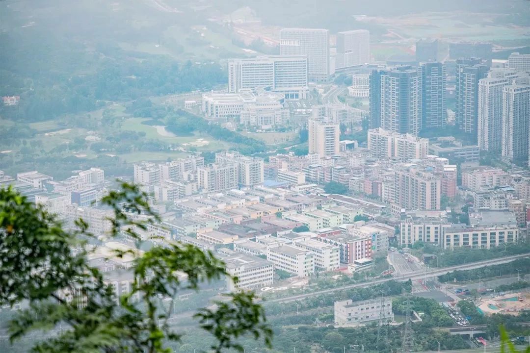 深圳3号线有哪些可以玩的,深圳7号线攻略