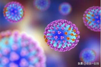 病毒进化基因,人类中的病毒基因