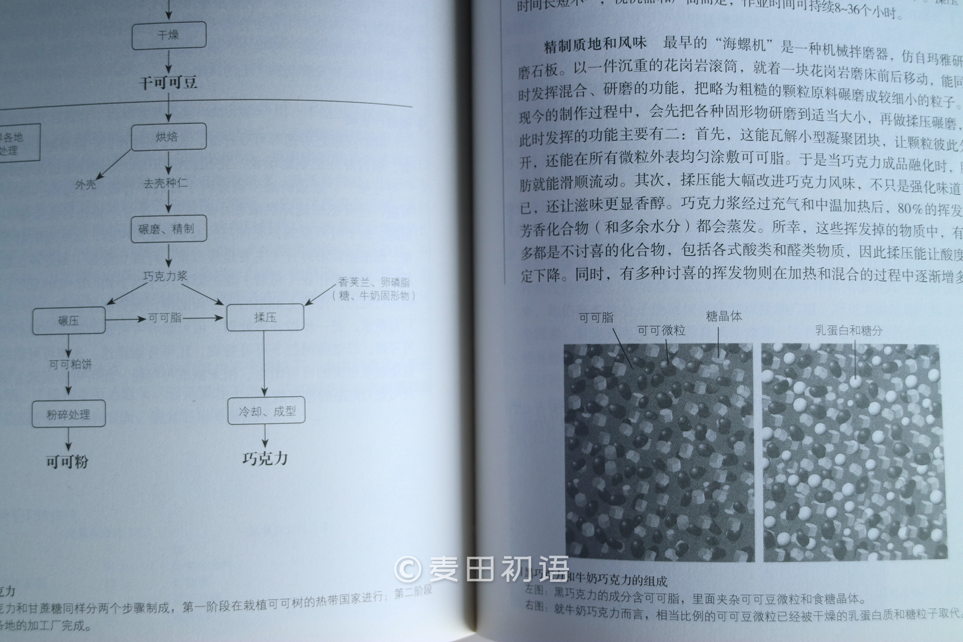 烘焙新手书,新手面包烘焙入门书
