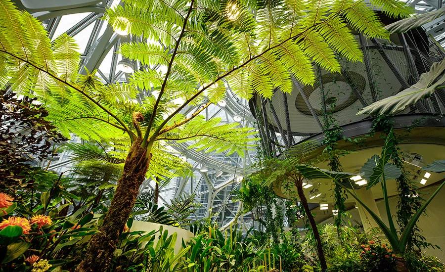 深圳市有梦想城市,深圳有梦想的城市