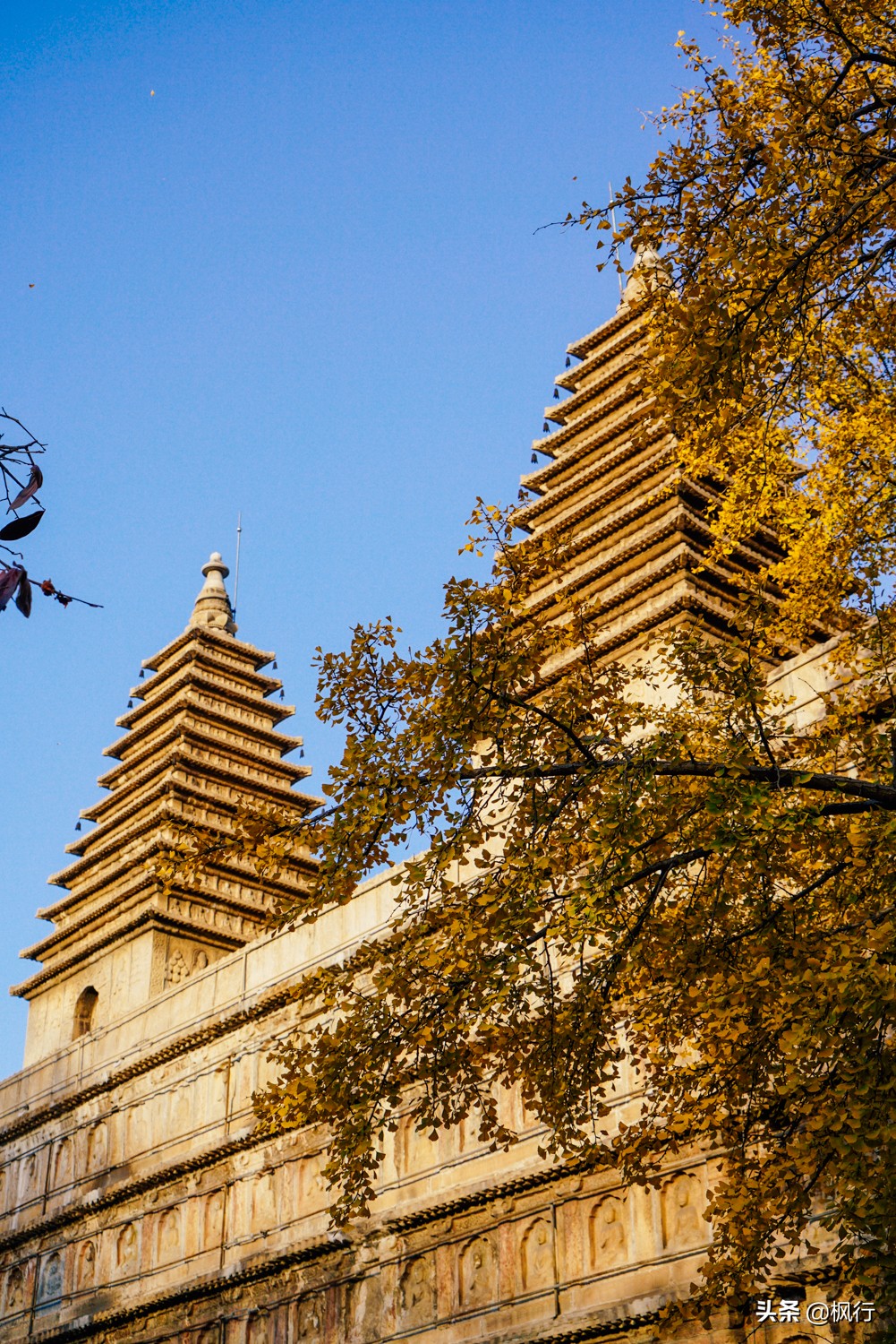 北京18个看银杏的好地方在哪,北京八大处看银杏攻略