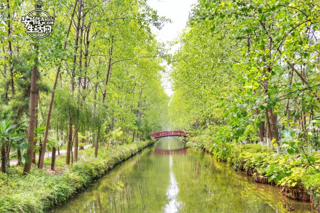 2022合肥必去的13个免费景点,合肥一日游景点推荐排名最新