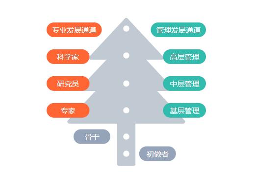 美团成都分公司招聘客服，包住宿