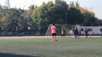 54中成绩,54中喜报