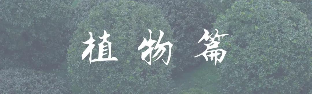 万科金开悦府,万科金开悦府高压线