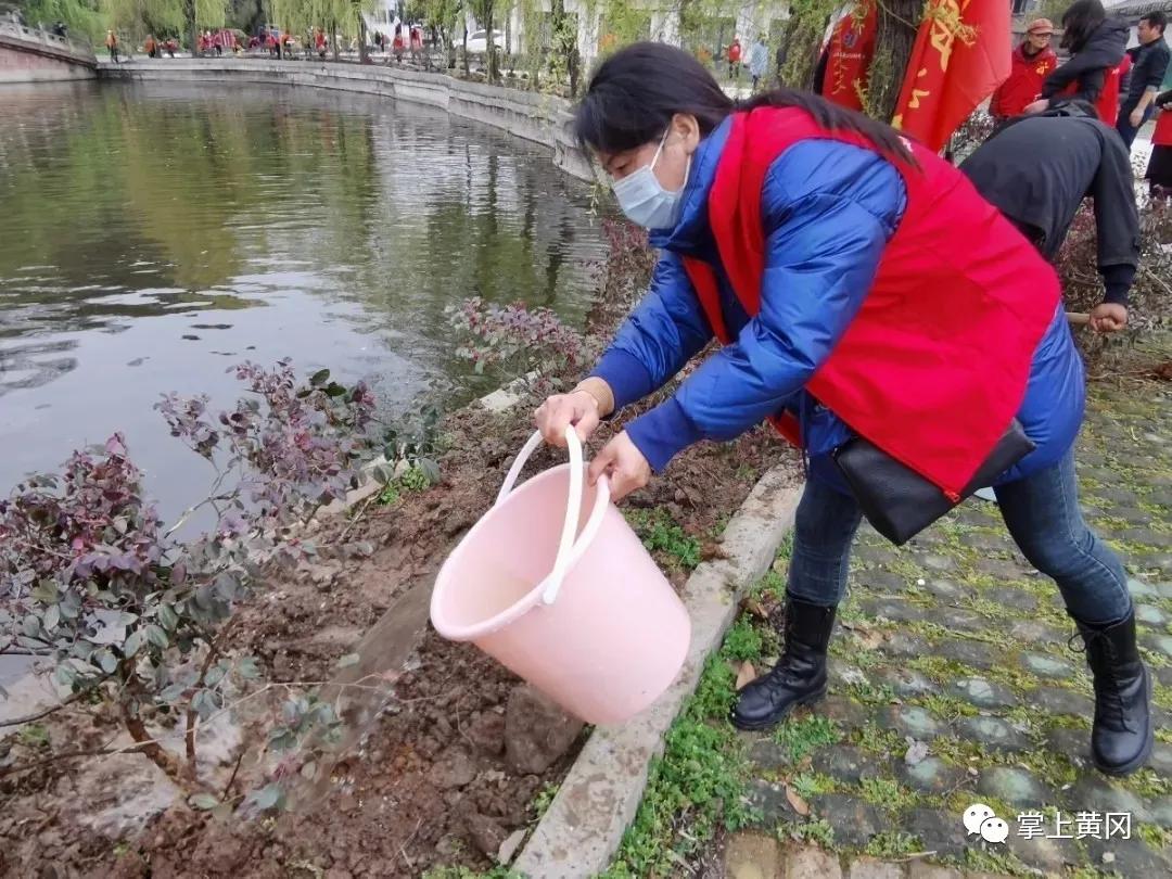 湖北一名副省级领导撰写读后感荐书：古树的情怀