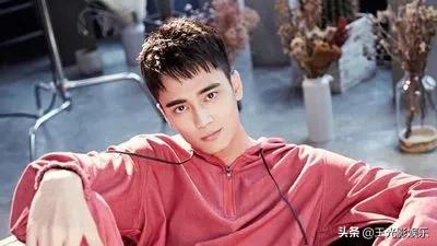 中国十大帅气男明星,黑龙江最帅的10位男明星