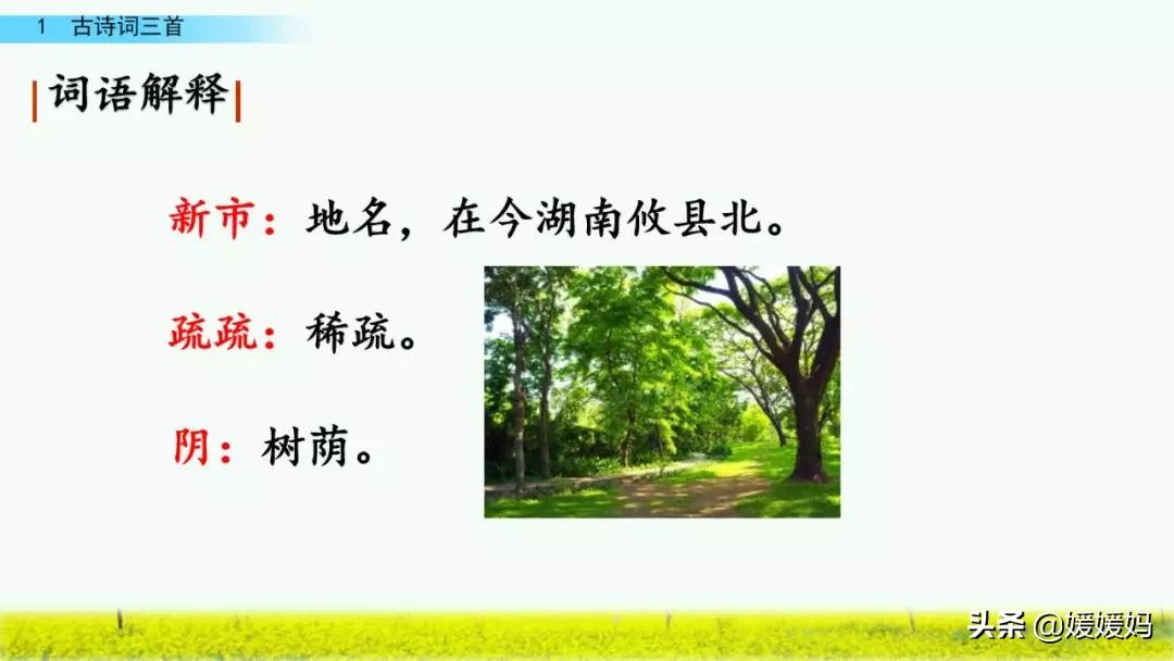 四年级下册第1课古诗三首练习,四年级下册古诗词三首的写作背景