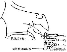 腺样体肥大有必要做x射线复查吗,最简单检测腺样体肥大的方法