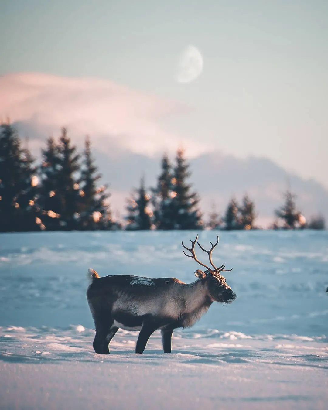 朋友圈分组怎么设置,朋友圈分组不可见