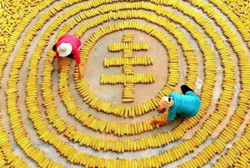 2020年锦州新闻头条,辽宁省锦州新闻今天