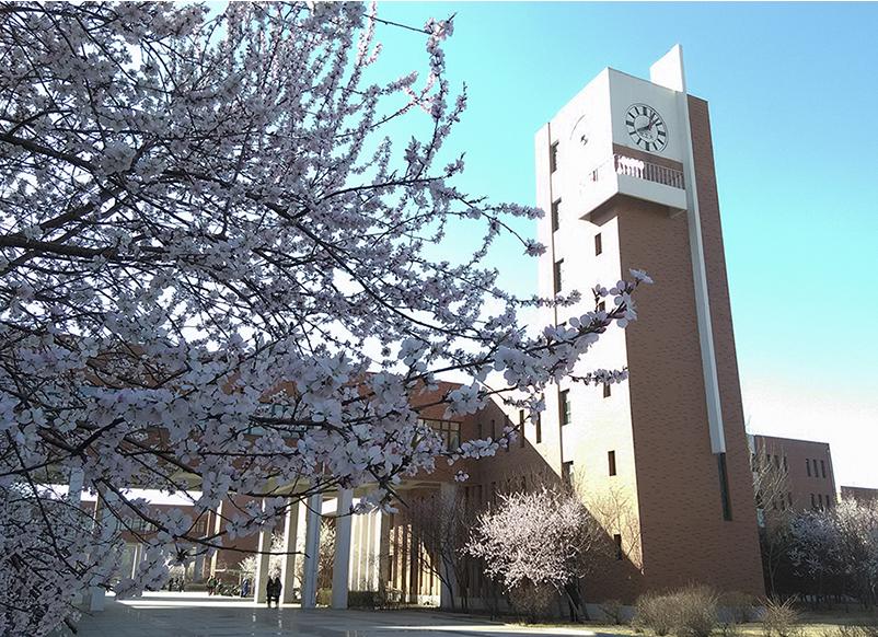 2021月收入最高的专业揭晓!这所大学10个专业强势上榜!