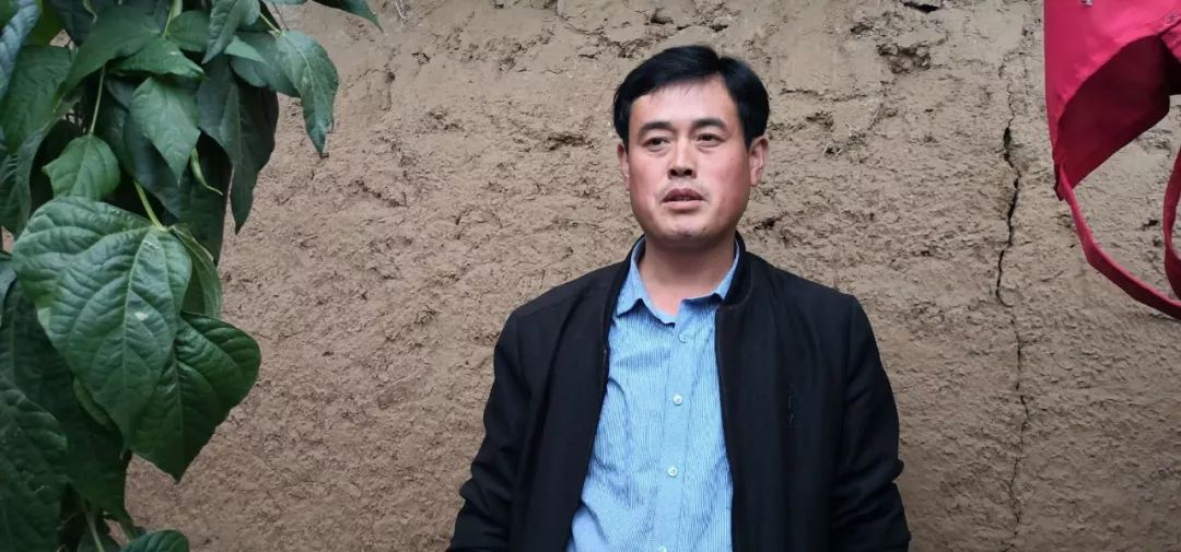 种植创业项目的愿景,种植行业创新创业