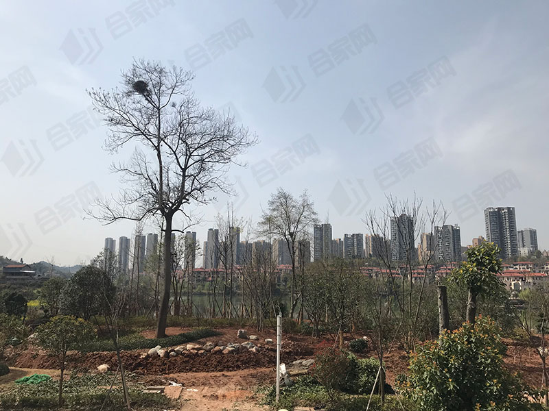 实探楼盘园林实景,山水如画宜昌楼盘周边规划