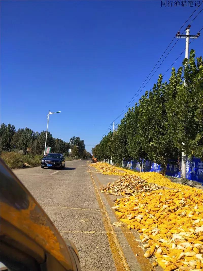 钓鱼笔记30个视频,钓鱼笔记最新视频