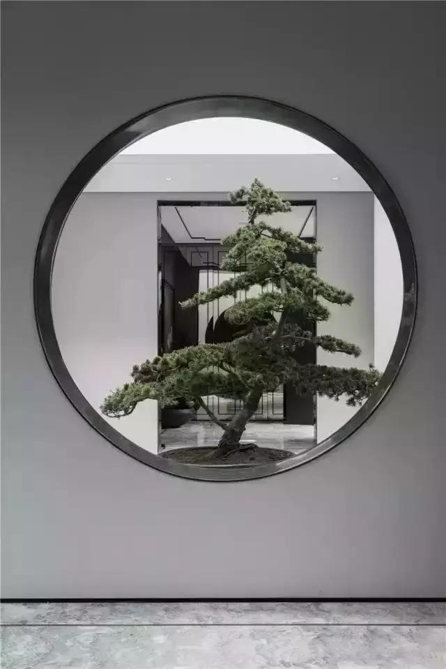 院子风景真美,中国人的院子