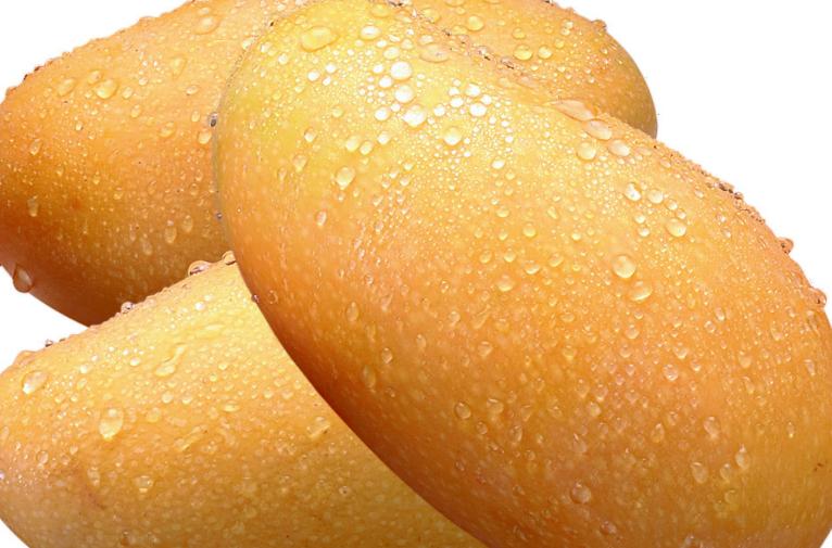 芒果吃饭攻略,芒果驾到