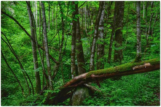 本命年会真的倒霉吗,本命年不顺有科学依据吗