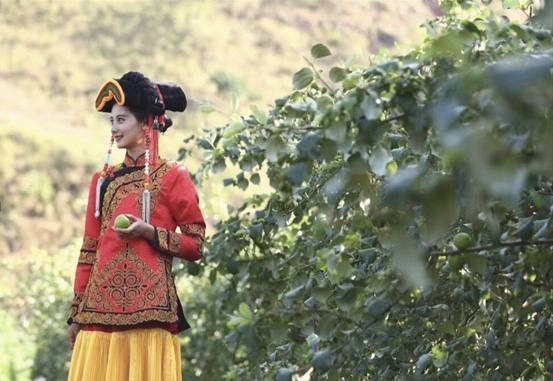 四川女孩辞职回家创业,四川女子大厂辞职卖水果