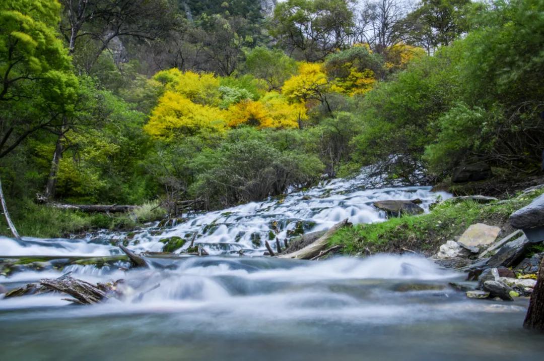 阿坝旅游网官网九寨沟,阿坝夏天二日游推荐