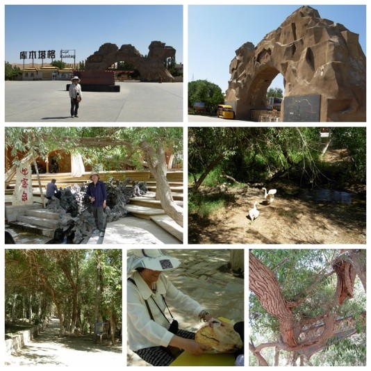 2013年E-1*疆新**东南西北中班车自助游-东