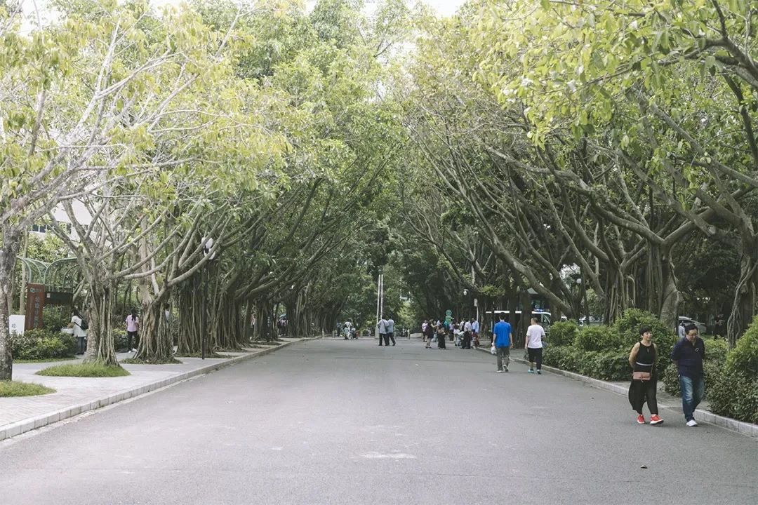 坐一趟4号线，打卡深圳19个热门游玩地！