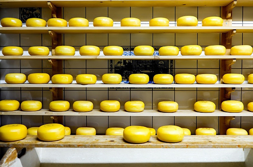 如何分清各种芝士,如何选择适合自己的芝士种类