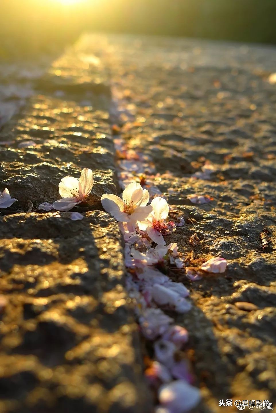 2018年那些感动瞬间,2018那些感动的视频