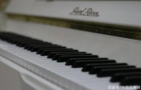 广东老字号中药品牌,广东老字号腊肠品牌