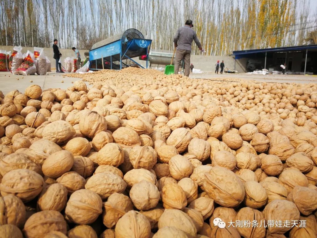 舌尖上的旅行带你领略旅行的美好,环游中国边界