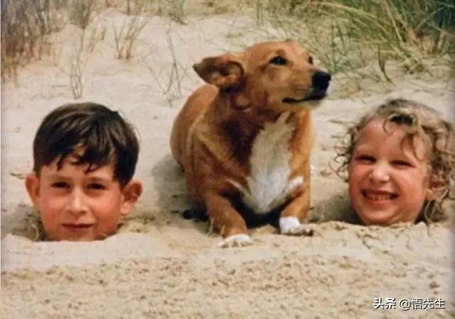 霍金年轻时帅气的照片,霍金年轻时帅照