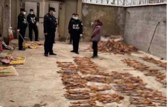 江苏捕杀黄鼠狼案件原视频,俩男子5天非法猎杀24只黄鼠狼