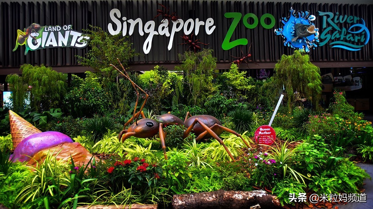 新加坡亲子游7天6晚攻略,新加坡旅游攻略推荐遛娃