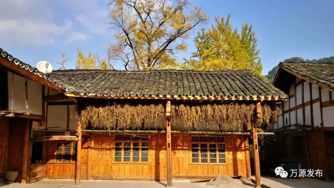 看万山红遍层林,看漫山红遍层林尽染国画