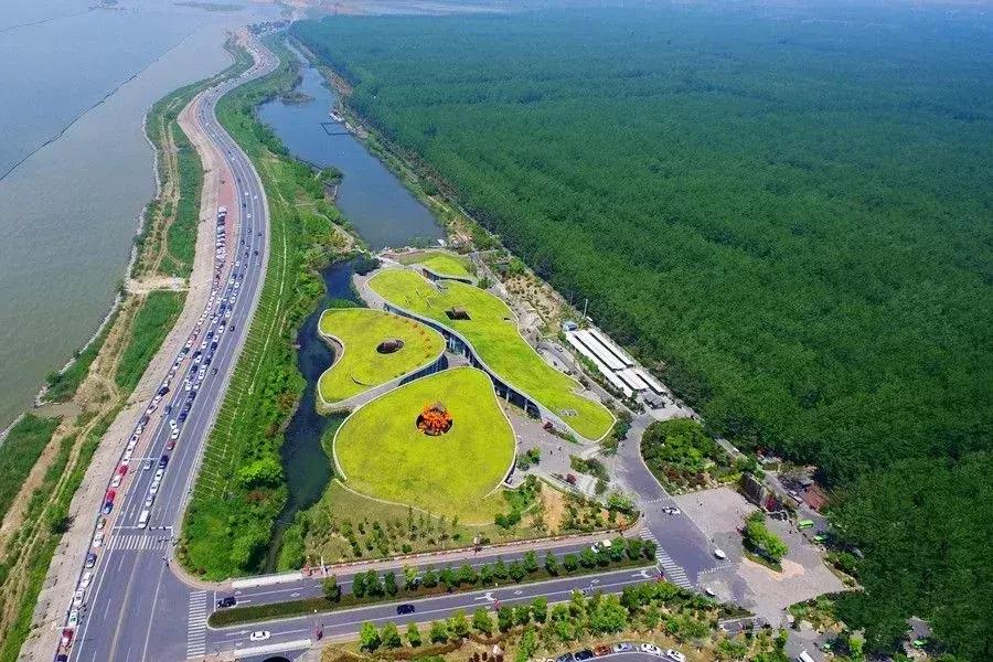 合肥六一去哪玩附近,合肥遛娃好去处六七岁孩子