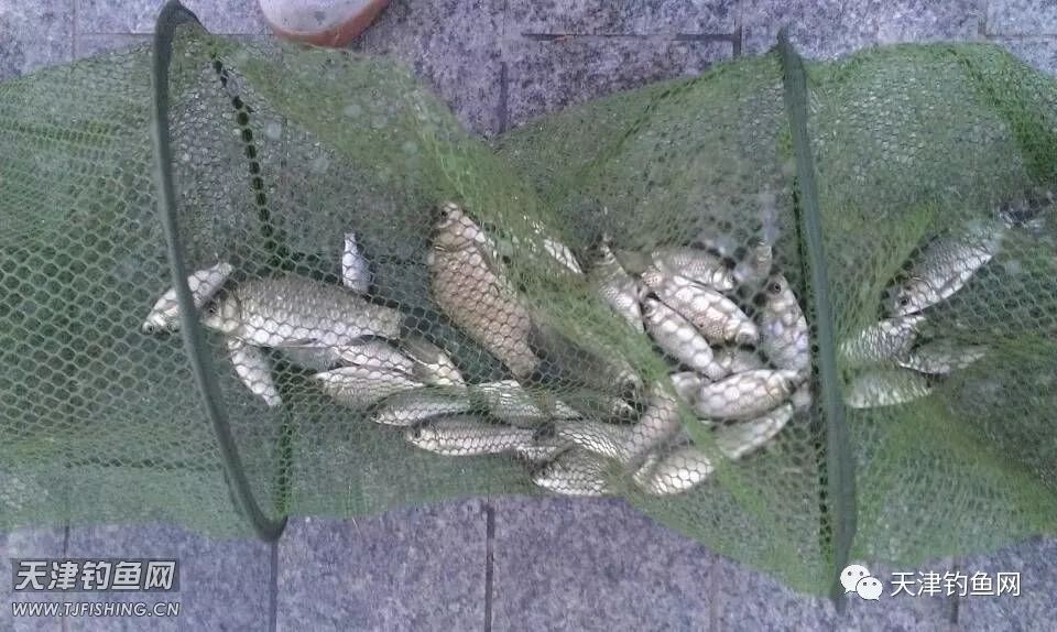 津南大学城，还是原来的地方，还是原来的味道