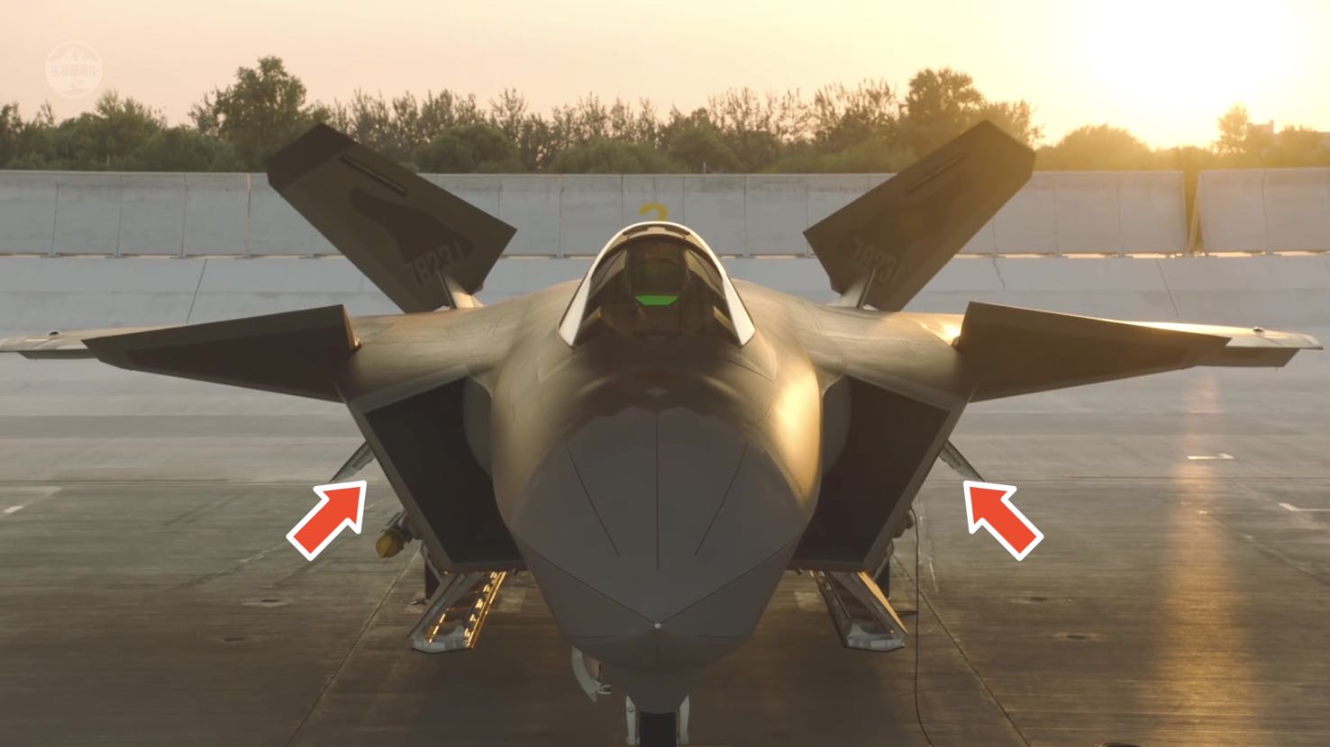 猎豹捕食的时候速度多少,猎豹捕食时的样子