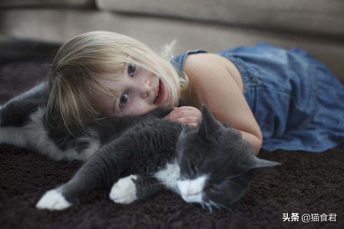 劝养猫的人别养两只猫,劝养猫的朋友都别养两只猫