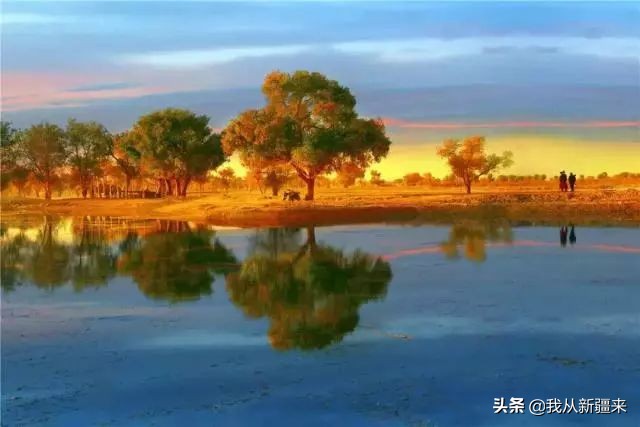 大盘鸡拌面牛肉面烧烤套餐,抓饭拌面大盘鸡自助