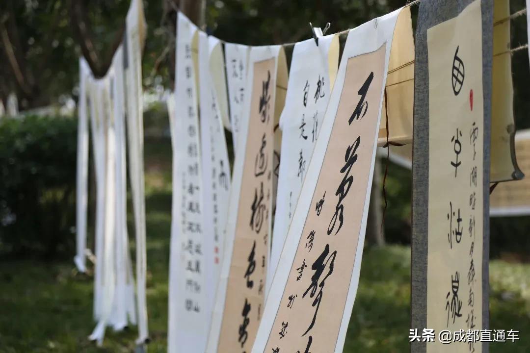 花开的季节合唱视频,花开的季节和你相遇